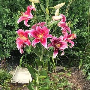 Meet your Posher, Kelly